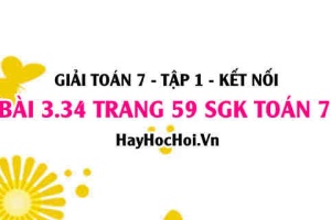 Giải bài 3.34 trang 59 Toán 7 Tập 1 SGK Kết nối tri thức